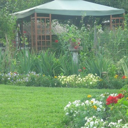 Farm Stay Lackovic Bellye Kültér fotó