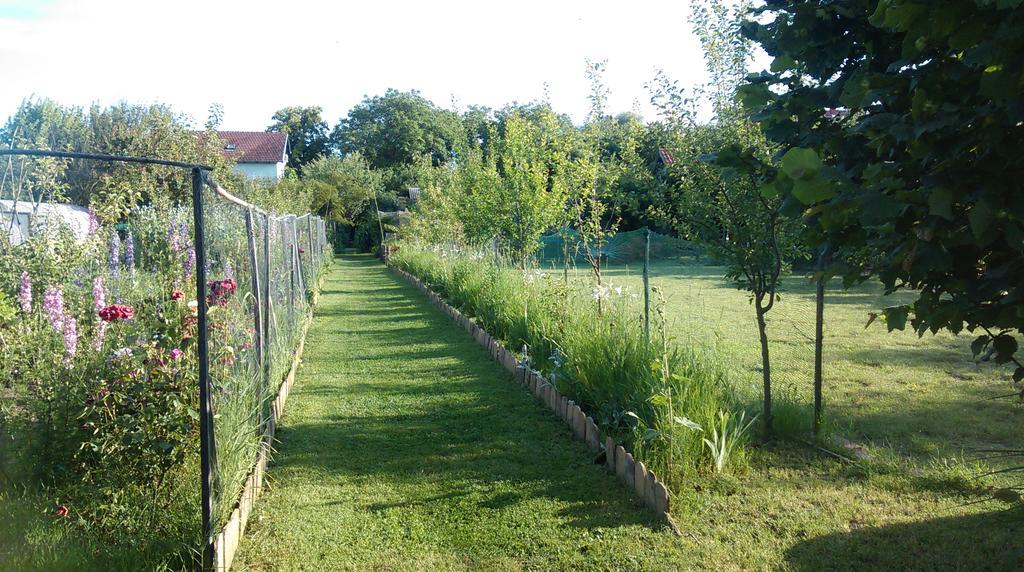 Farm Stay Lackovic Bellye Kültér fotó