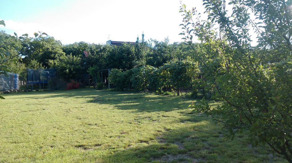 Farm Stay Lackovic Bellye Kültér fotó