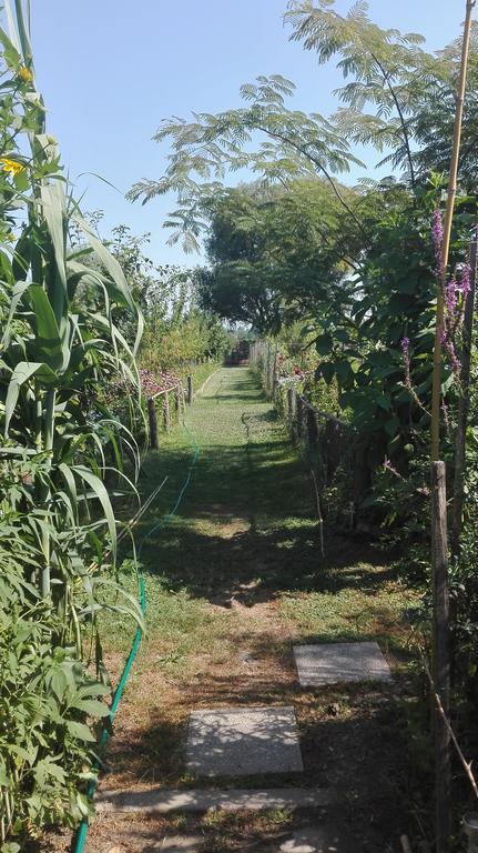 Farm Stay Lackovic Bellye Kültér fotó