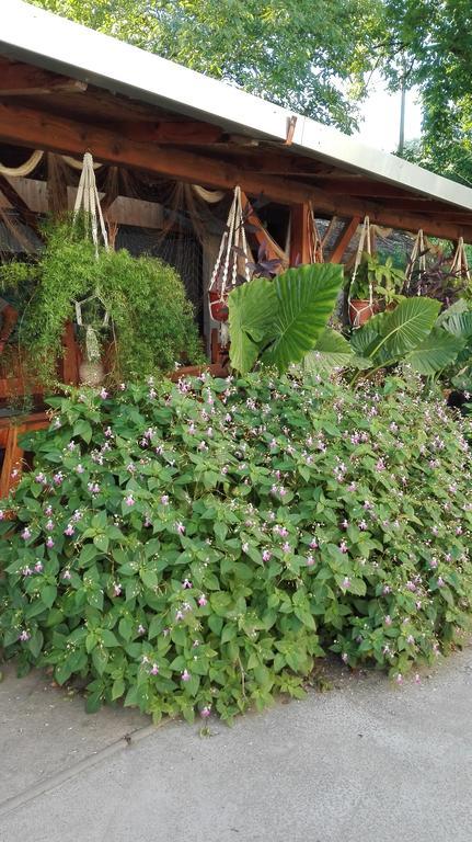 Farm Stay Lackovic Bellye Kültér fotó